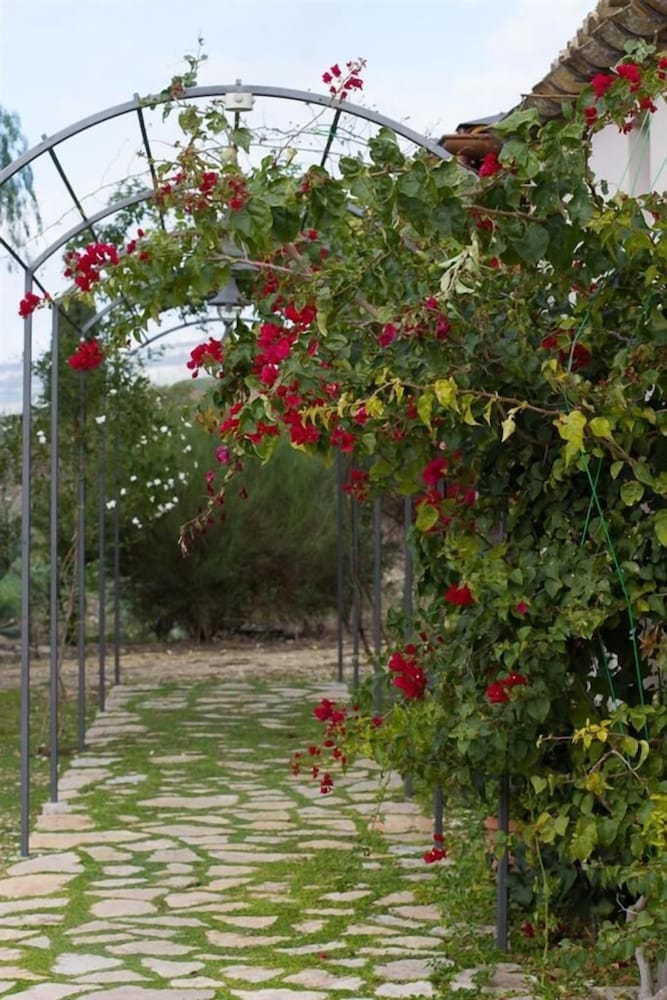 Agriturismo Baglio Donna Santa, Billede 37