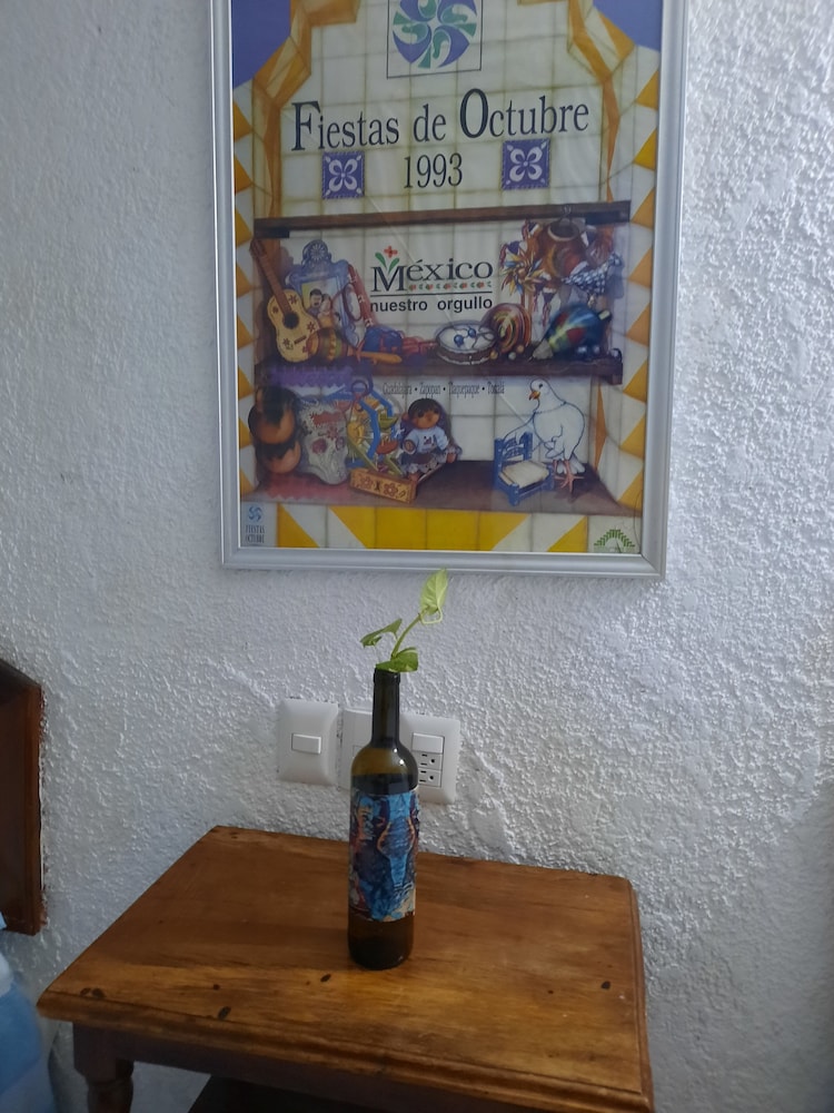 Colima Vacations - Hotel Rio Colima - Property Image 2