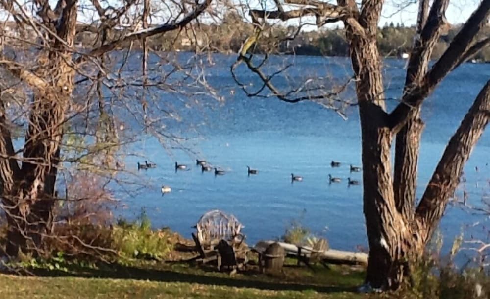 225 Lakeland Bed and Breakfast.