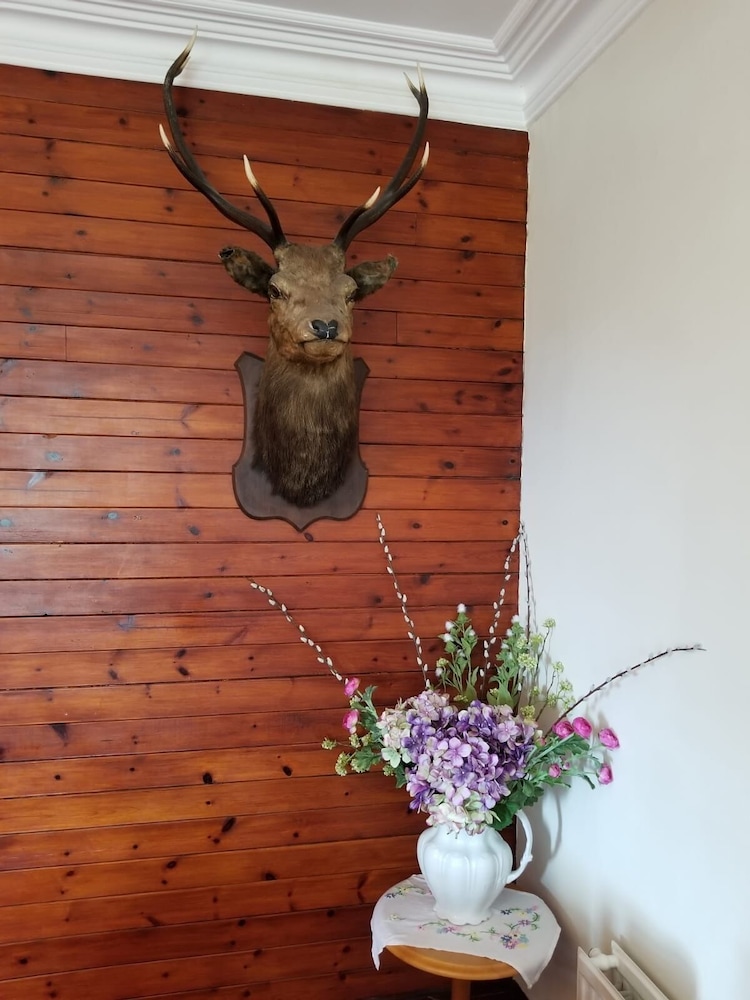 Glenan Lodge Self Catering view 4