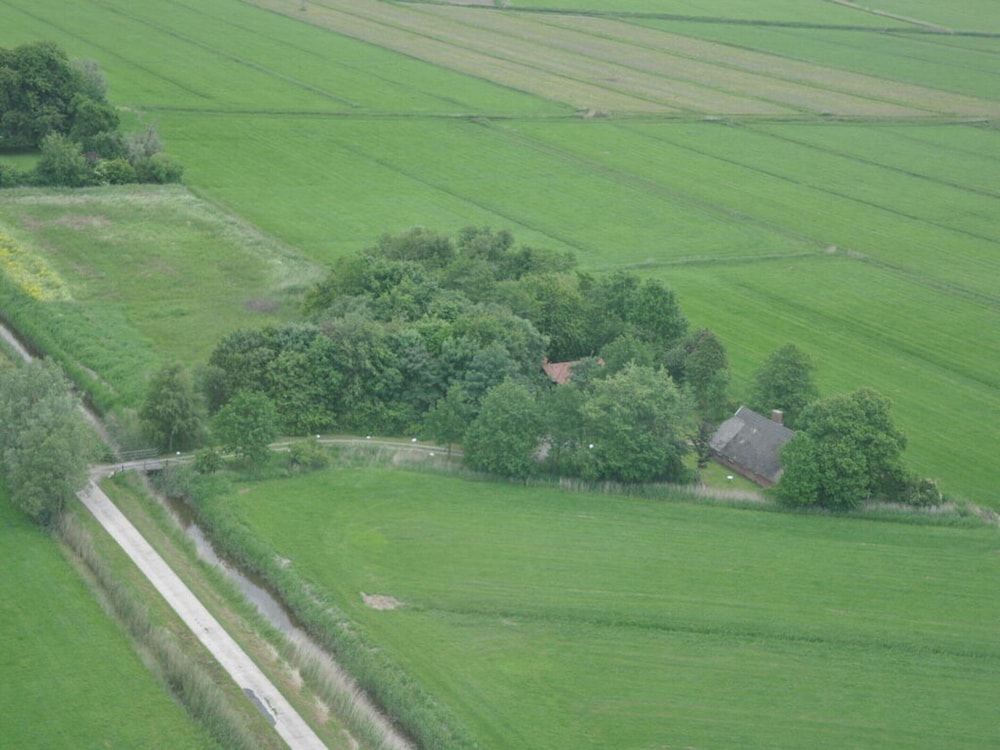 Thatchdachkate Sillenserwisch