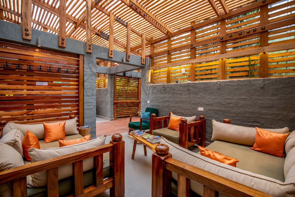 Kiho Gorilla Safari Lodge view 5