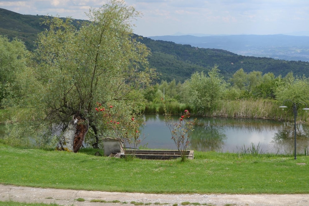 Praticino