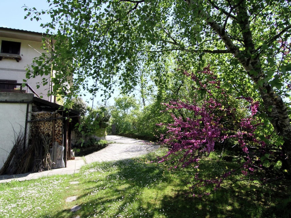 Photo 26