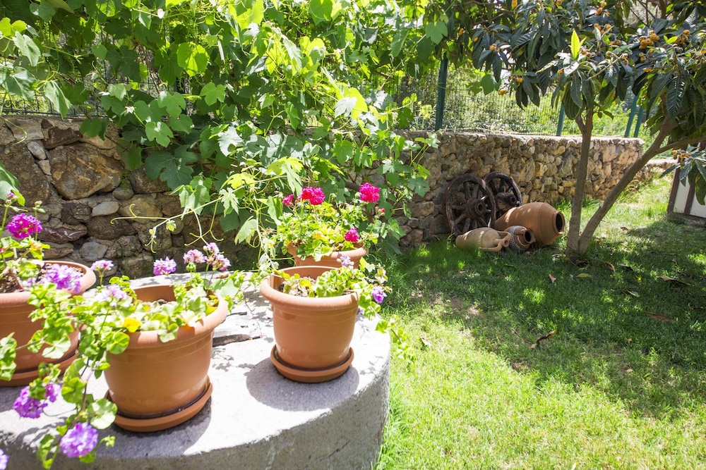 Bal Badem Bungalov
