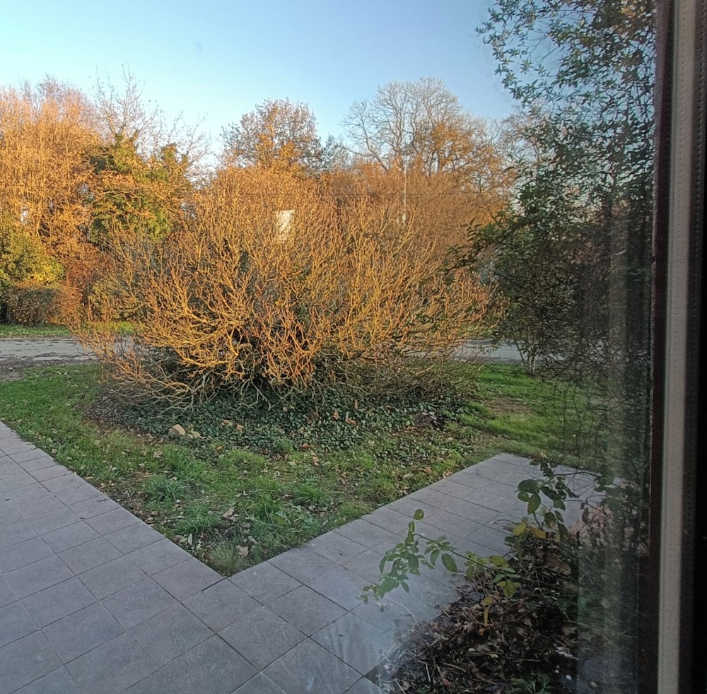 Photo 40