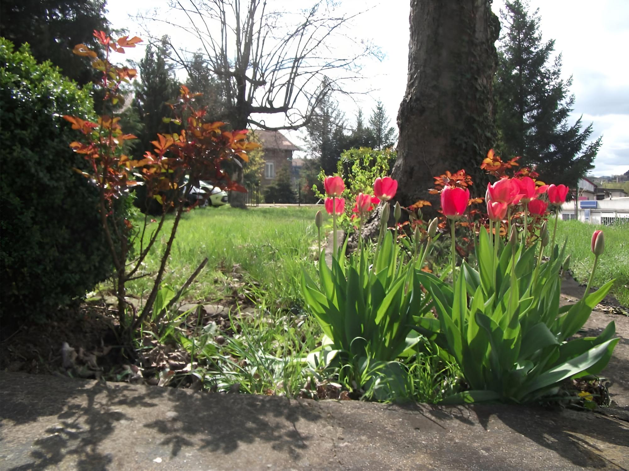 Photo 7