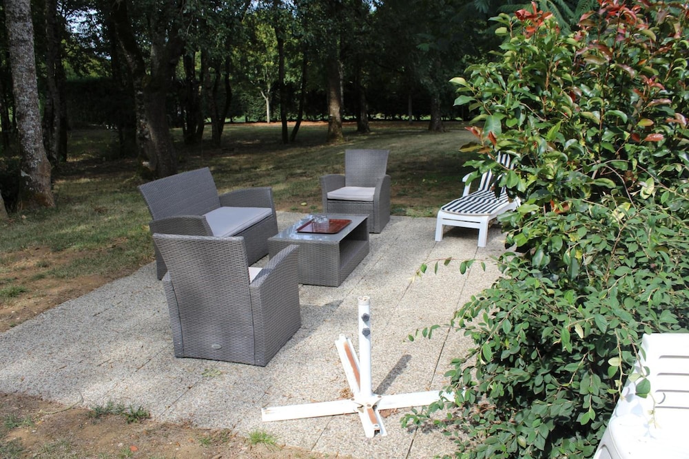 Photo 11