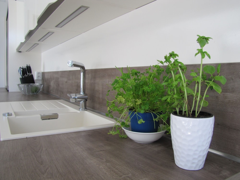 Villa Lavanda in Kriz Sezana With Private Swimpool view 4