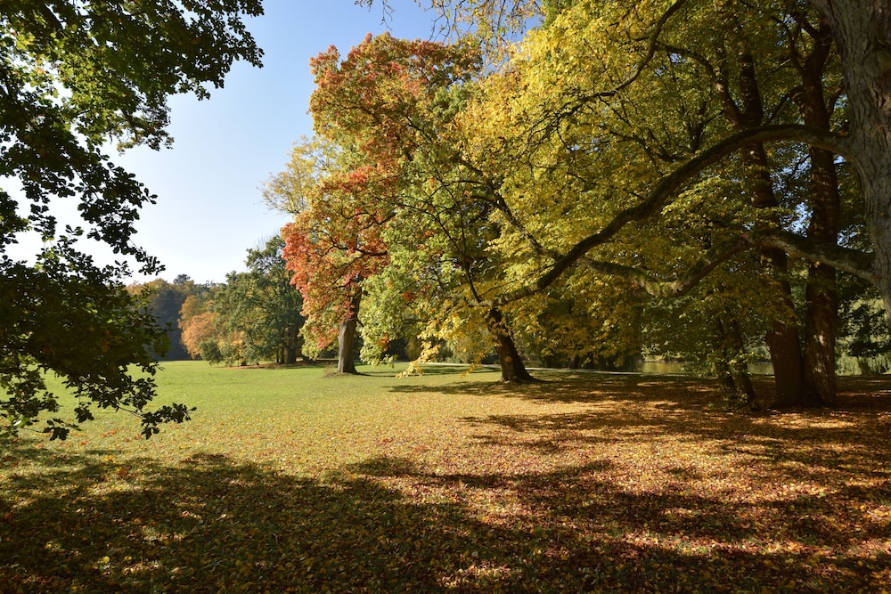 Alte Muhle - Property Image 42