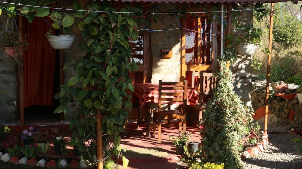The Mapple Cottage