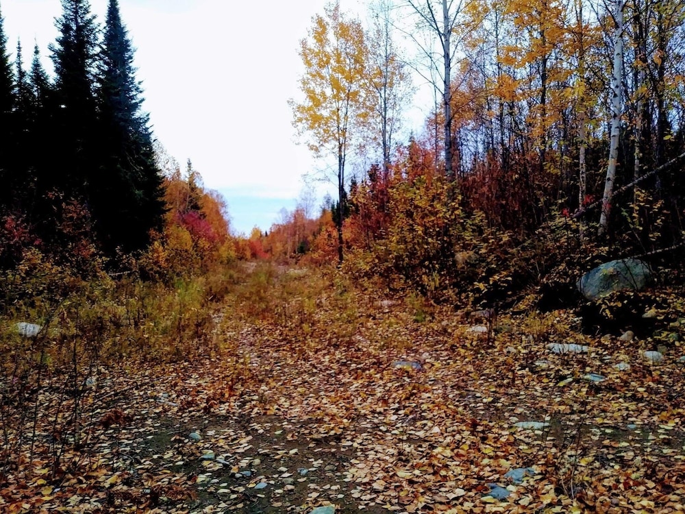 Photo 27