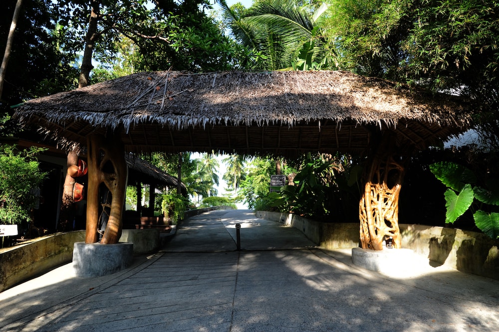 The Jungle Club