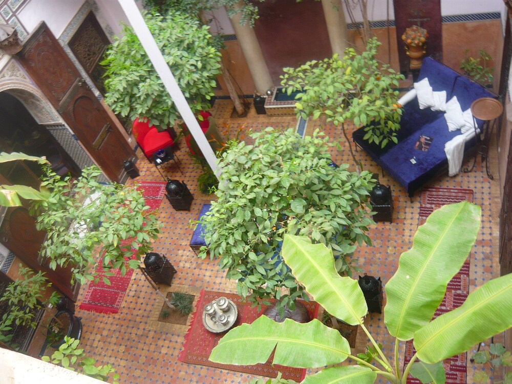 Photo 42