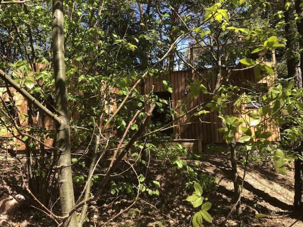 Holiday Home Under the Trees