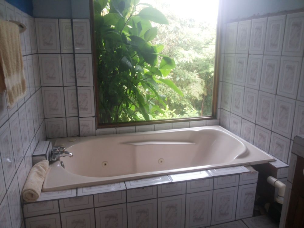 Rio Celeste Family Lodge view 5