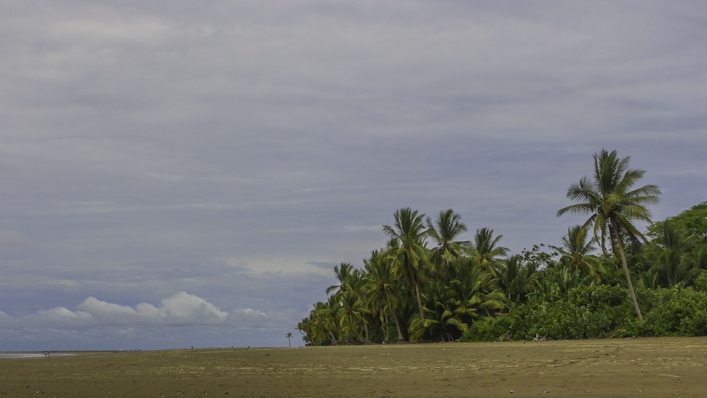 Villas Bungalows Ballena