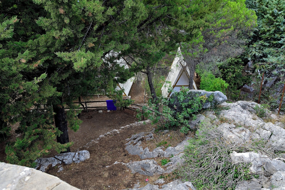 Camping Tajo Rodillo