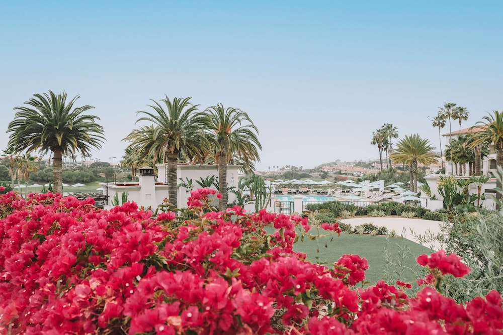 Waldorf Astoria Monarch Beach Resort & Club 91