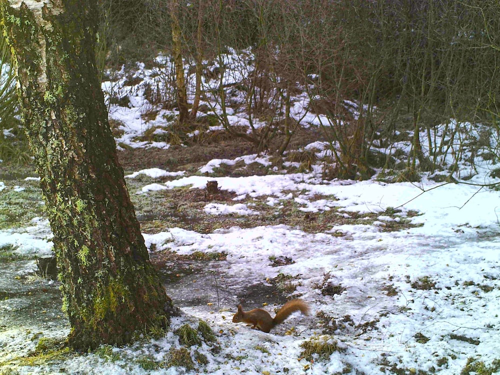 Photo 26