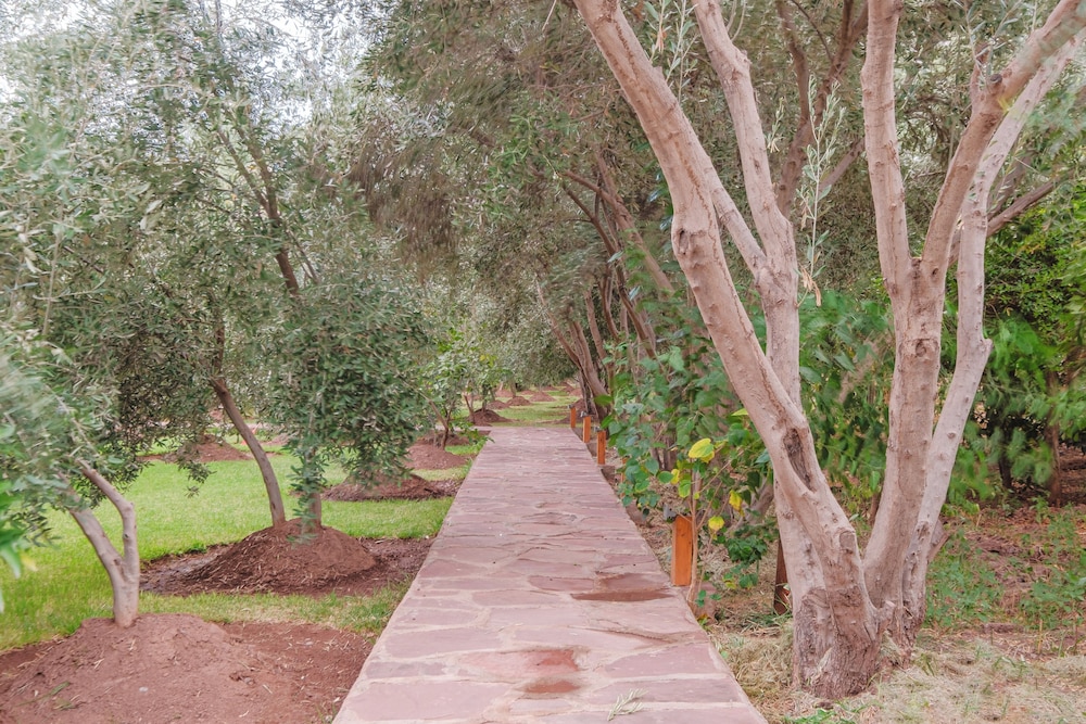 Dar Salah-Eddine Oasis Pool & SPA
