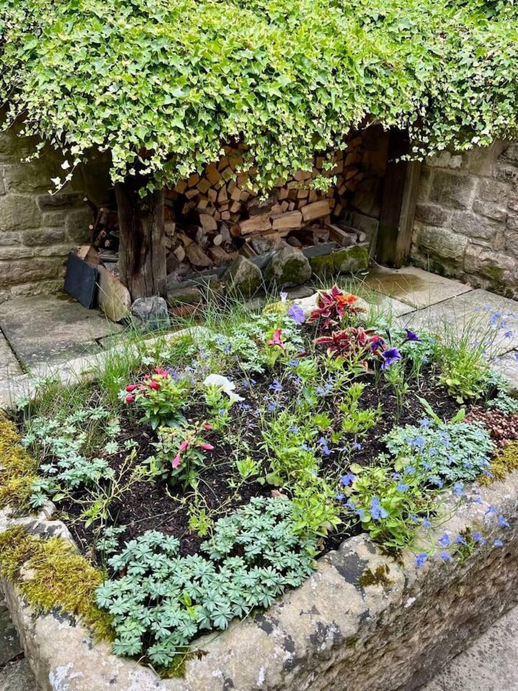 Photo 22