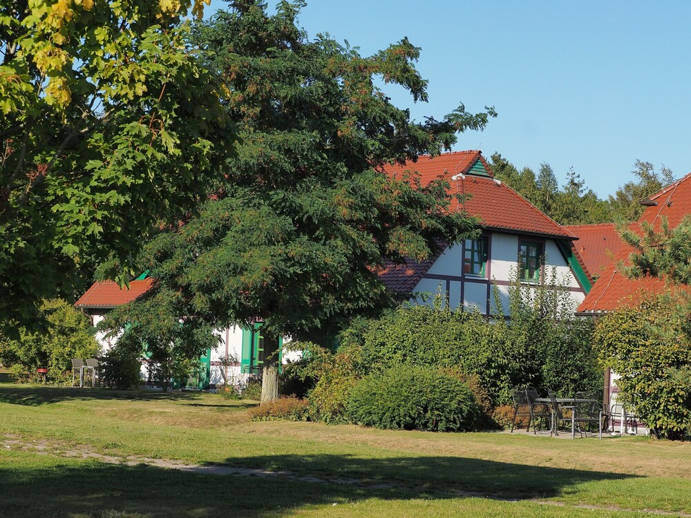 Wohnung in Dranske mit Garten