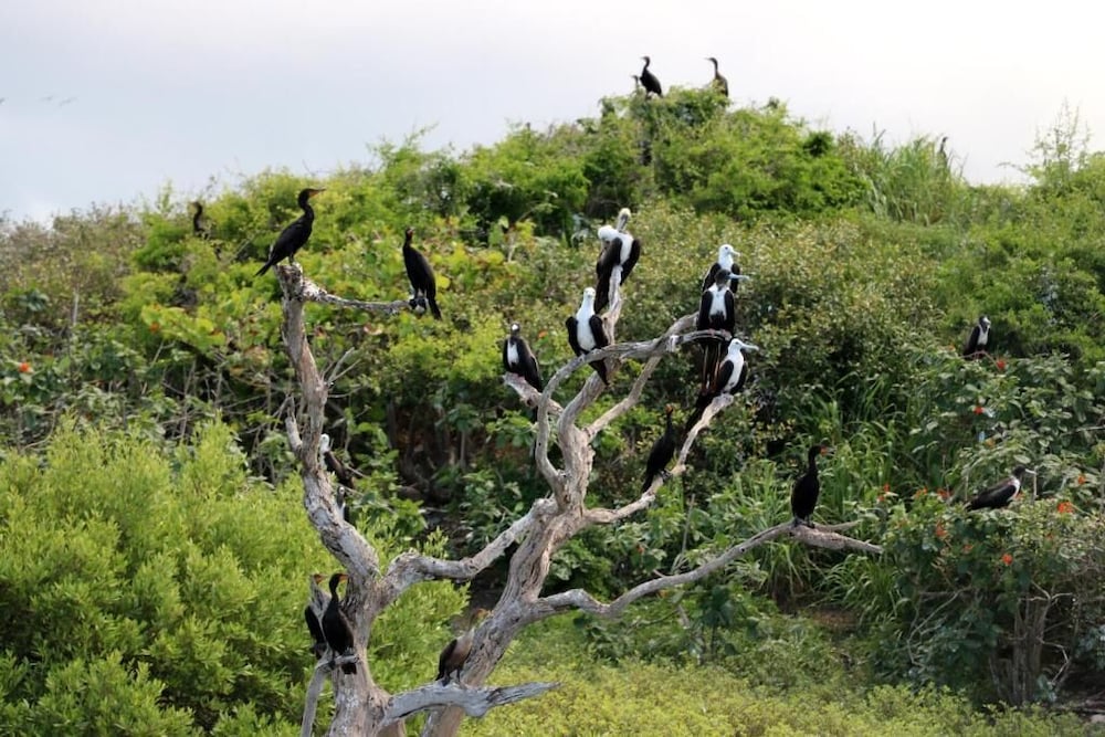 San Felipe Inn Yucatan - Property Image 11