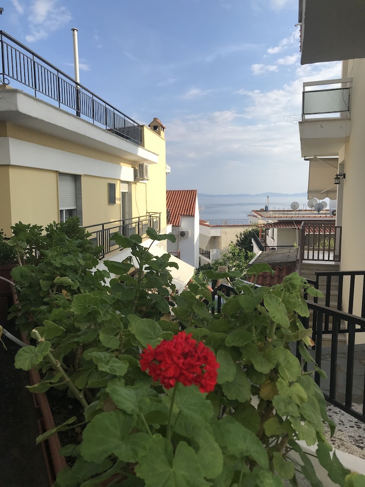 Natalie Apartments