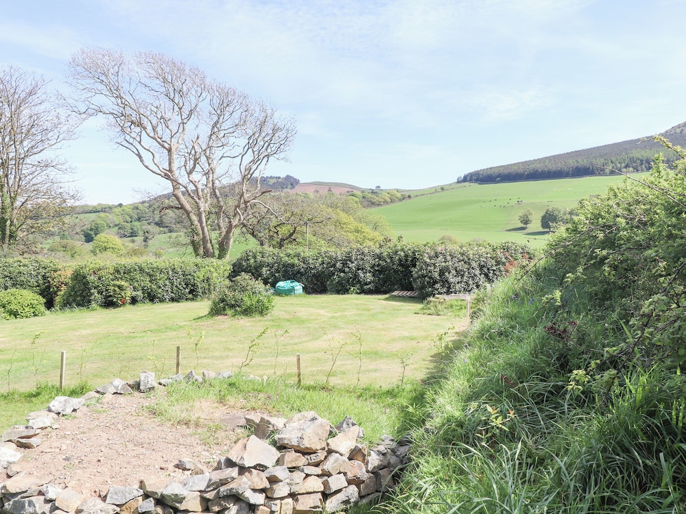 Ael-y-bryn