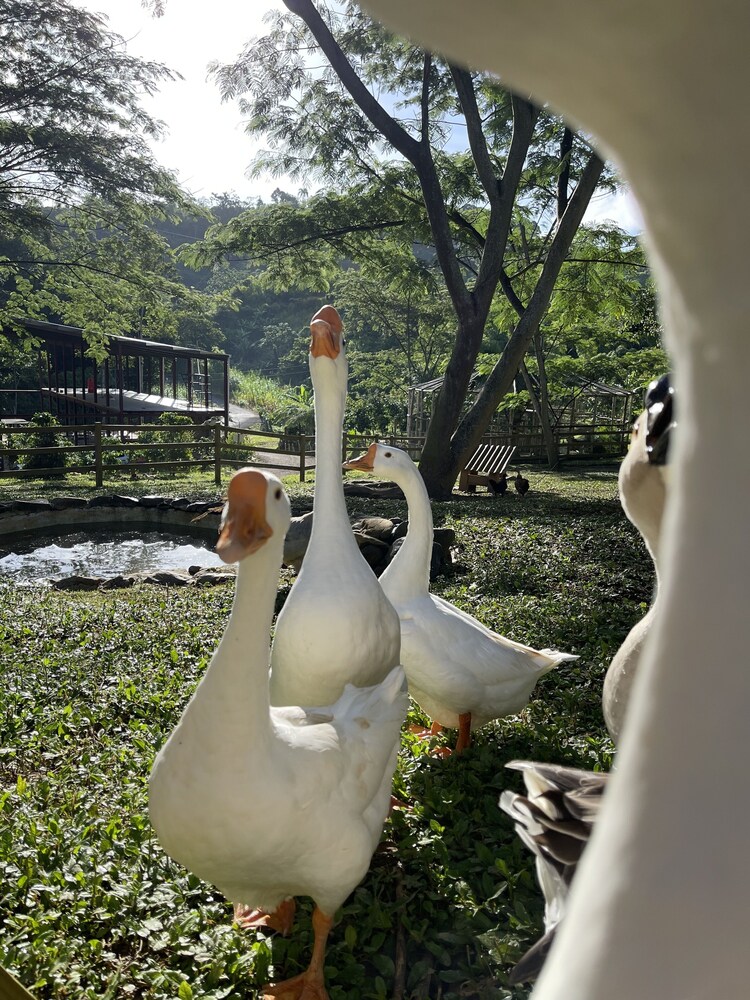 HACIENDA ILUMINADA ECO RETREAT