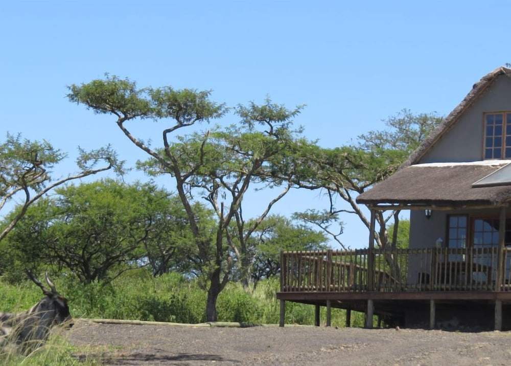 Ukuthula Lodge