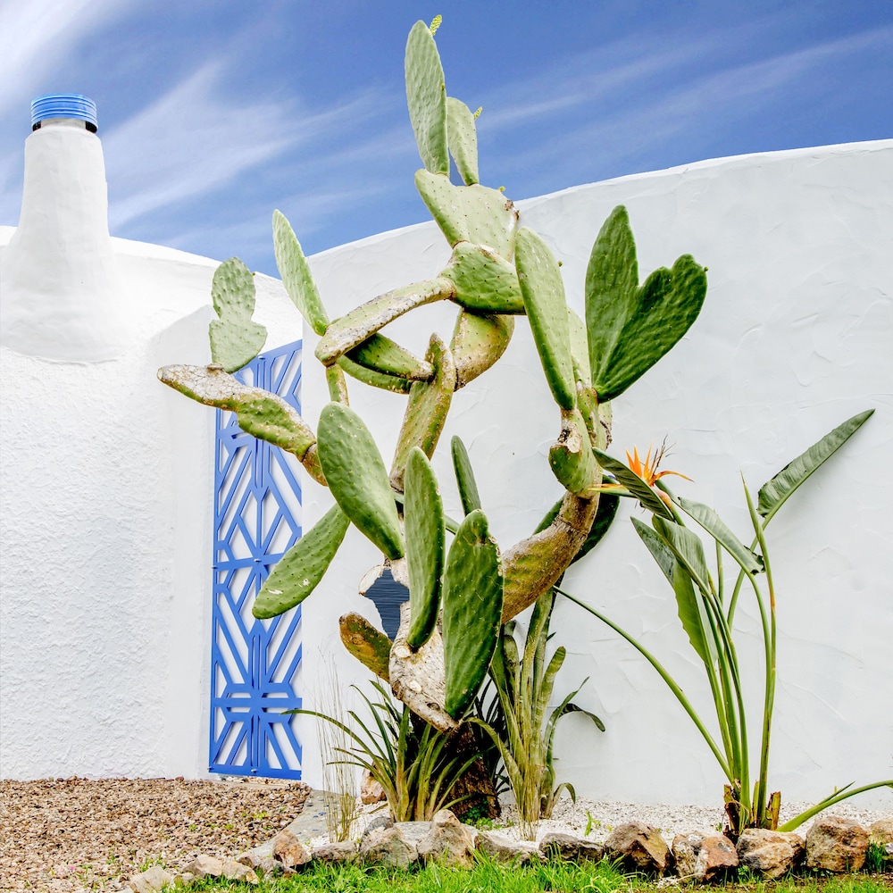 The Dome House