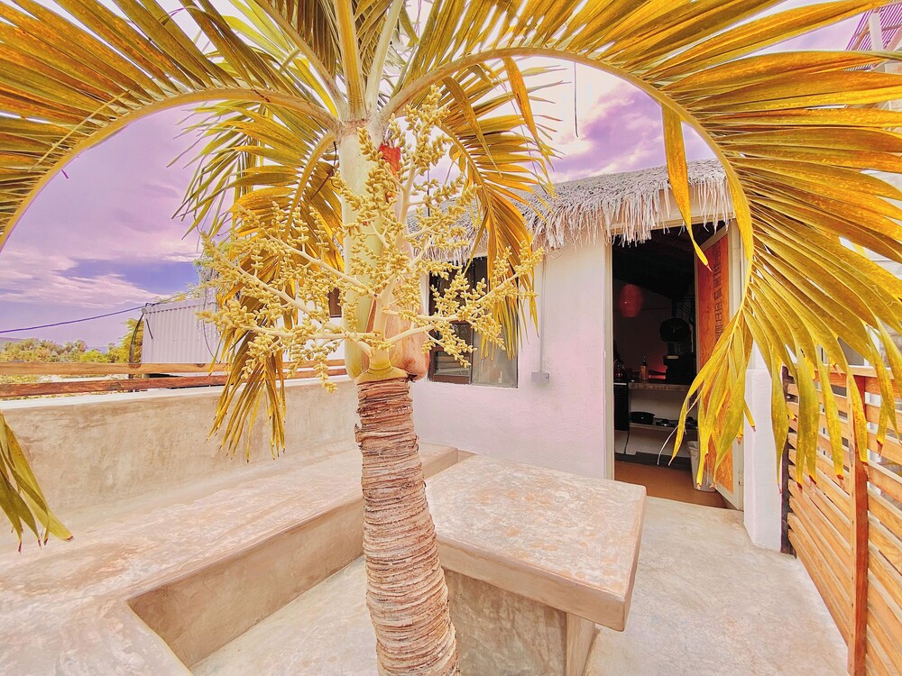 Perro Surfero Hotel Boutique - Todos Santos, BCS