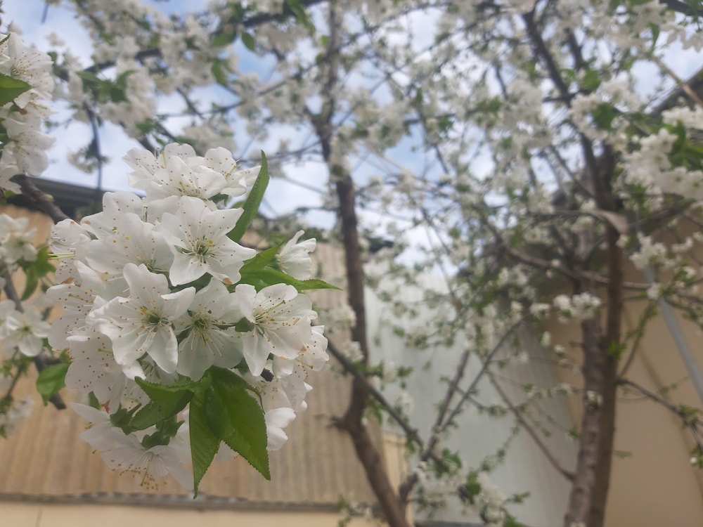 CITY Hostel Dushanbe