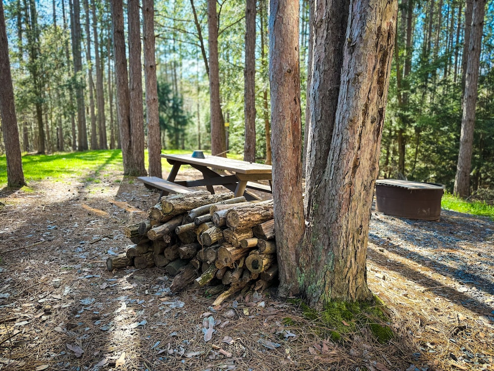 Boyer's Pond Campground view 2