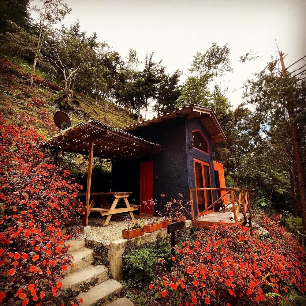 Finca Montaña Magica