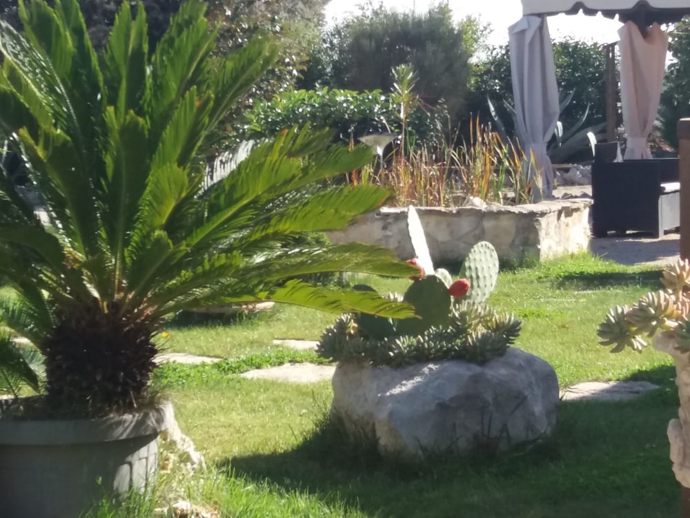 Trulli Colarossa