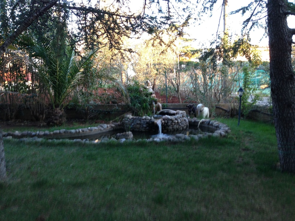 Photo 64