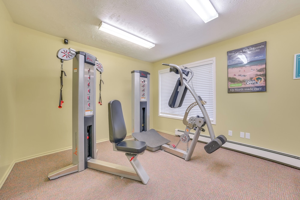 1 Mi to Nubs Nob Ski Resort: Harbor Springs Condo