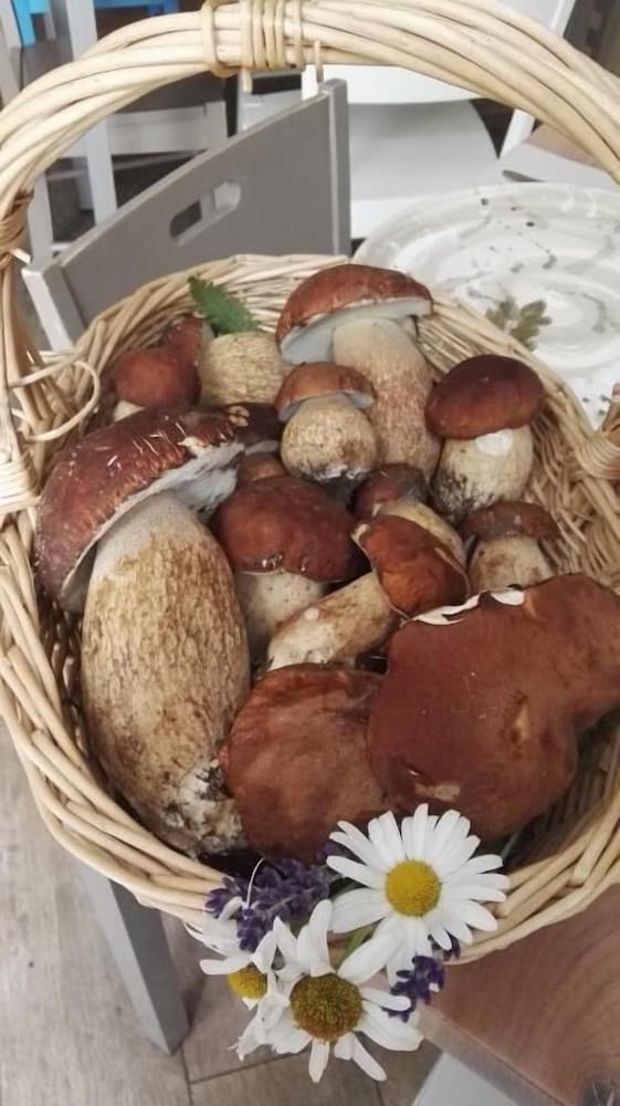 Locanda San Rocco
