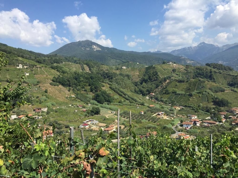 Centro Trekking A Cavallo Monte Brugiana, photo 52