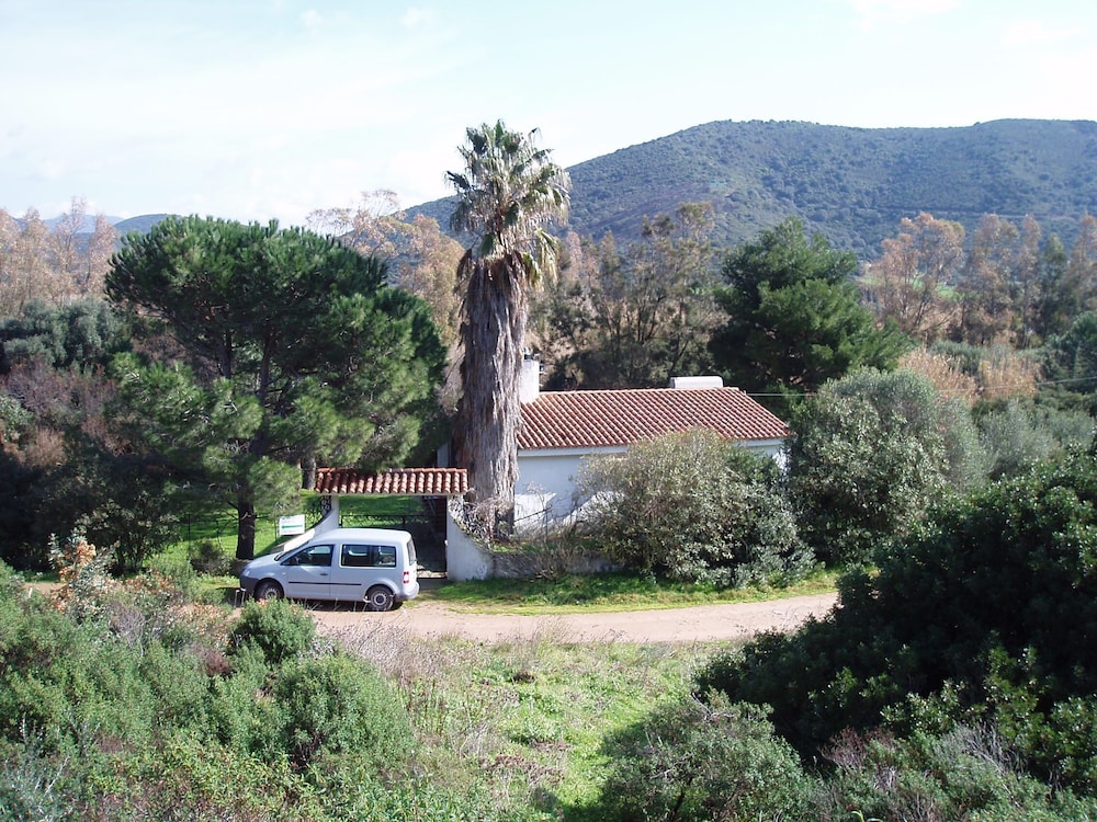 Photo 42