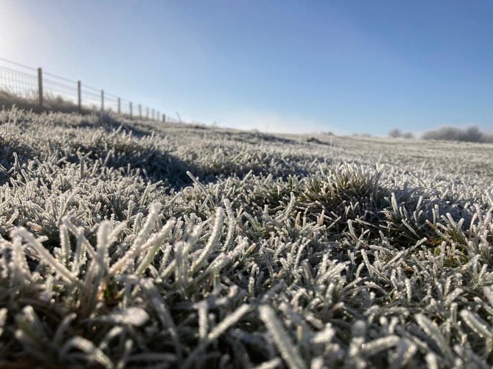 Marlborough Vacations - Perfect Cottage Hideaway in the Divine Pewsey Vale - Property Image 31