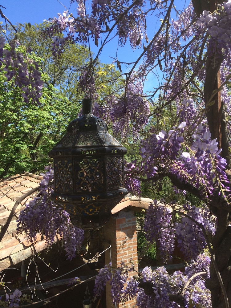 La Vieille Maison - Chambre et Halte Gourmande
