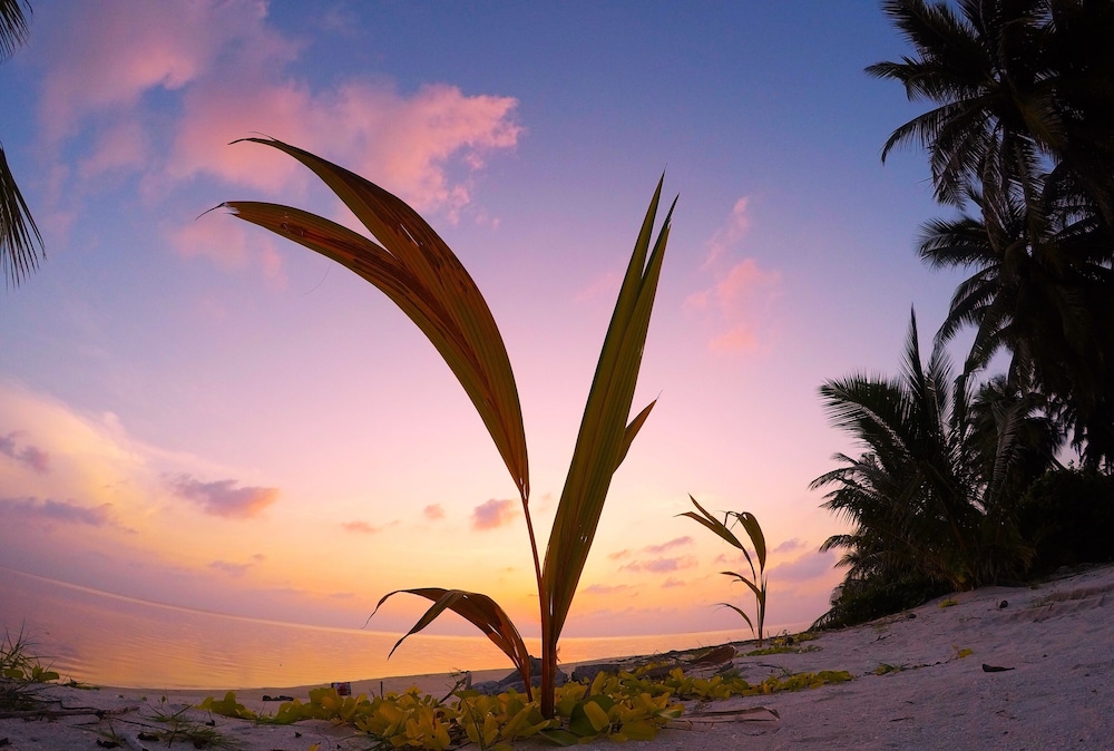 Annama Lodge And Dive