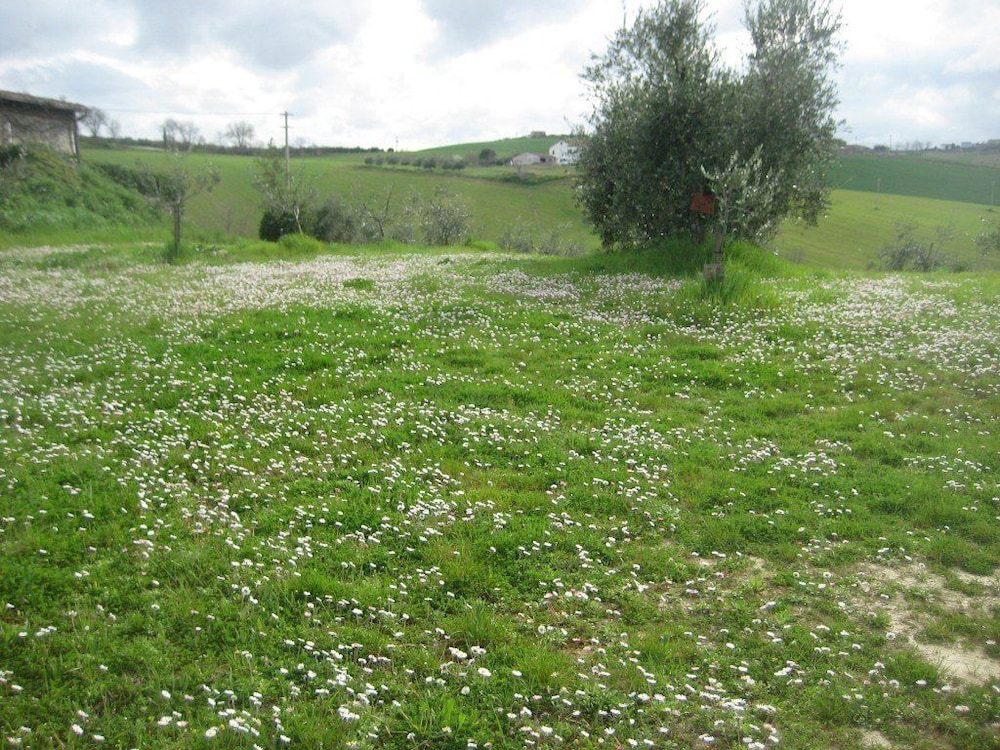 Photo 26