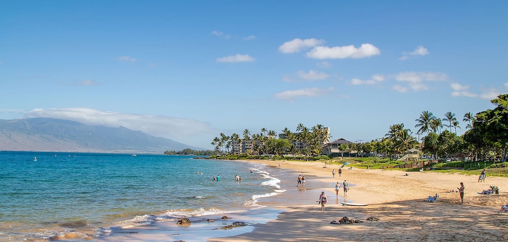 Kihei Akahi C-411 - Modern Top to Bottom Remodel, Split-ac, Across From Kam II
