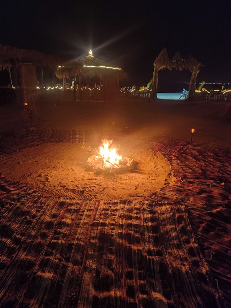 Flamingo Camp