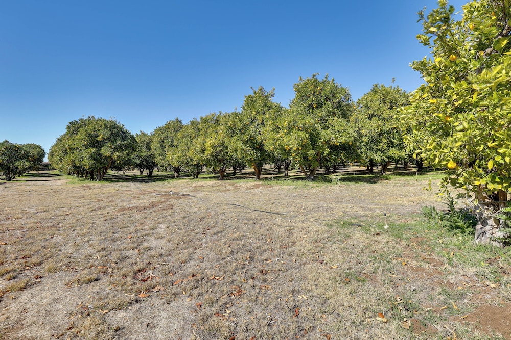 Hike, Explore & More: Ranch Retreat in Escondido!